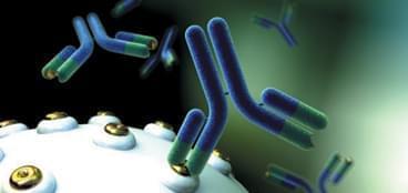 抗體藥物開發(fā)服務(wù) 生物技術(shù)賦能創(chuàng)新療法研發(fā)