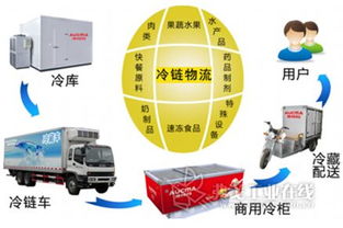 國內(nèi)外聯(lián)動(dòng)打造北方食品冷鏈物流集散中心，優(yōu)化供應(yīng)鏈管理服務(wù)
